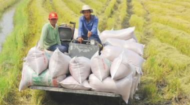 SENEGAL VIETNAMESE RICE INCREASED 215%